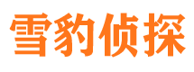 绵竹市私家侦探